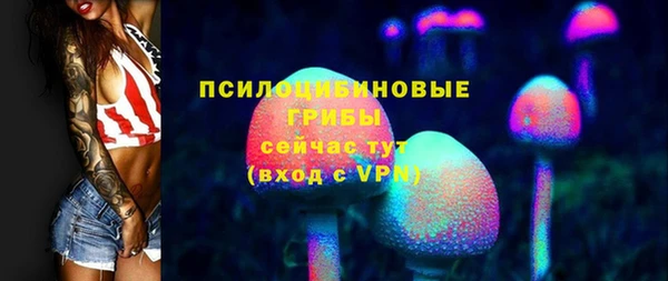 эйфоретик Бородино
