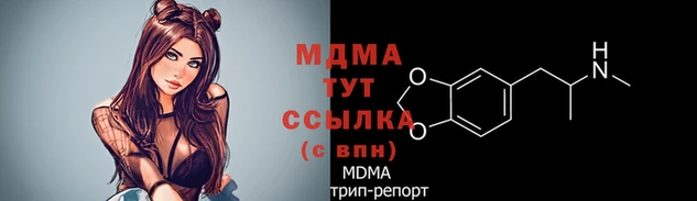 эйфоретик Бородино