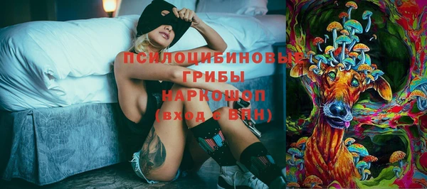 эйфоретик Бородино