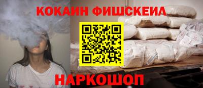 мдпв Камышлов