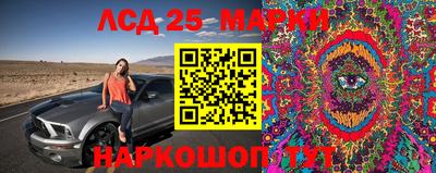 дмт Кандалакша