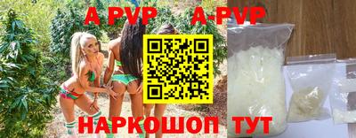 мдпв Камышлов