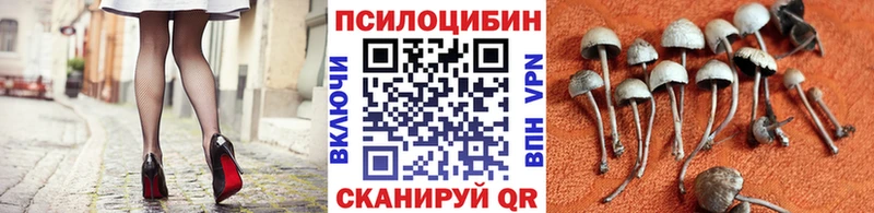 Псилоцибиновые грибы Psilocybe  кракен как войти  Можайск  наркотики 