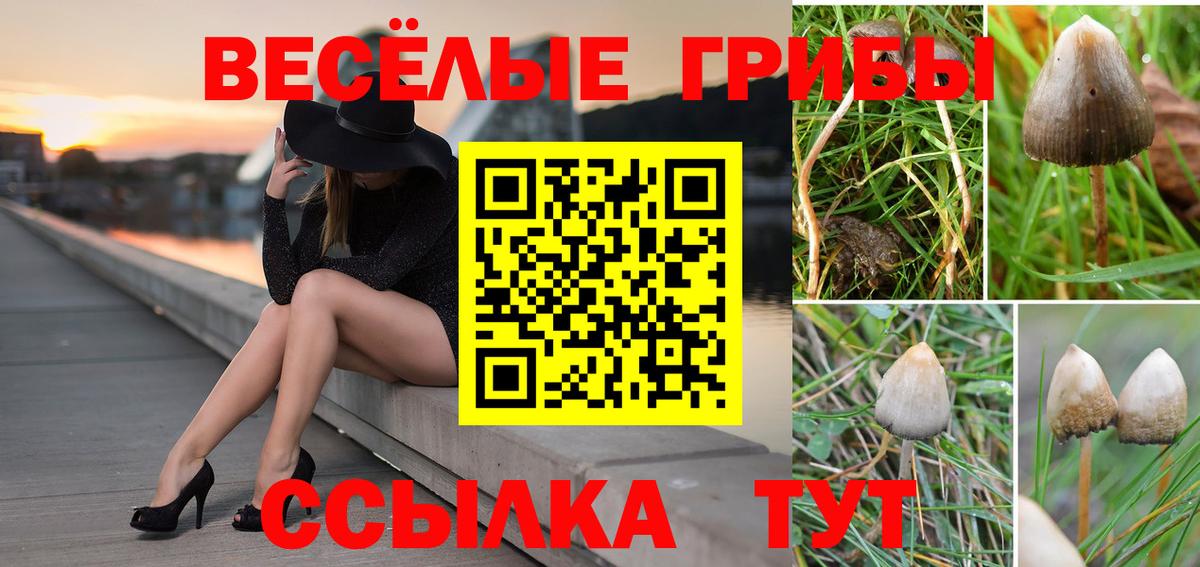Псилоцибиновые грибы ЛСД Можайск