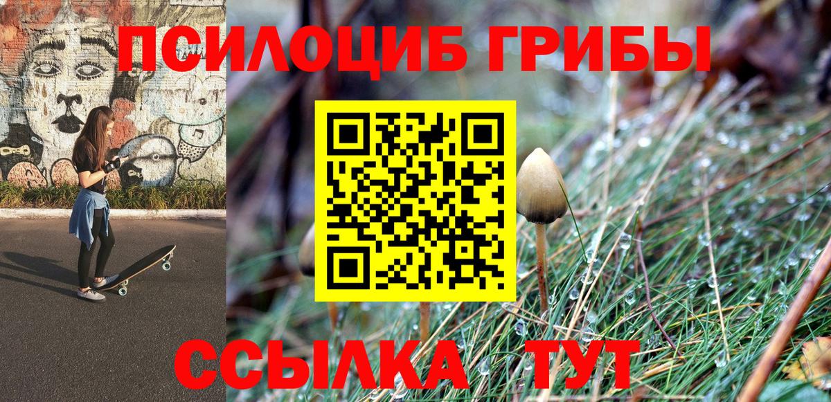 Псилоцибиновые грибы прущие грибы  Вход с VPN  Можайск 